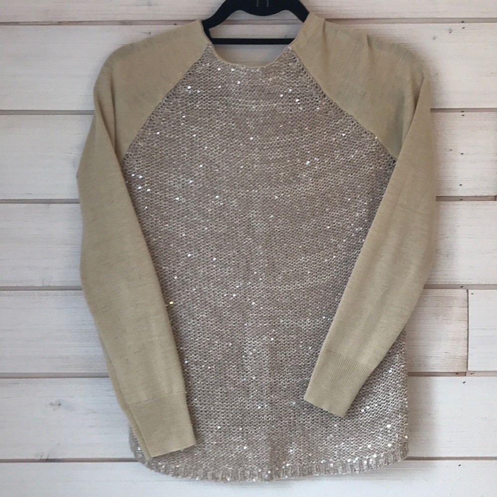 Theme from Piperlime Sequin pullover sweater